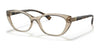 Vogue VO5425B Eyeglasses / Transparent Light Brown №2990 / Size 52