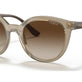 Transparent Brown
