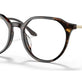 Dark Havana №W656