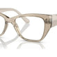 Transparent Light Brown №2990