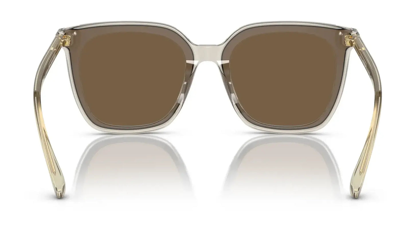 Vogue VO5499SD Sunglasses | Size 64