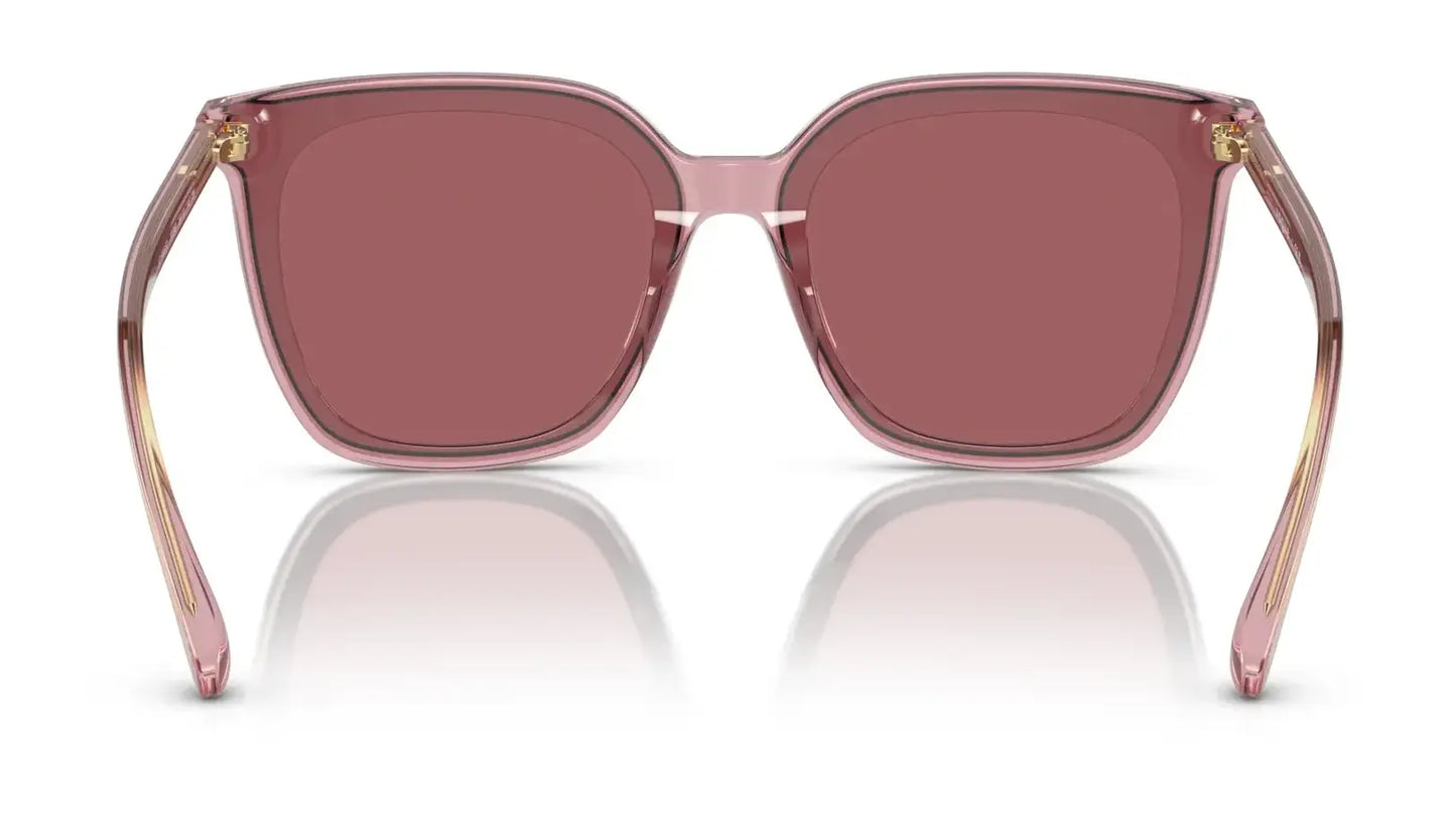 Vogue VO5499SD Sunglasses | Size 64