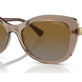 Transparent Brown