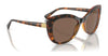 Vogue VO5515SB Sunglasses | Size 55 / Transparent Cherry / Pink Gradient Dark Grey (2N 23.3%) №298936