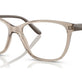 Transparent Light Brown №3181