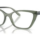 Transparent Mallard Green №3086