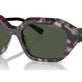 Grey Tortoise