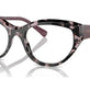 Violet Tortoise №3146