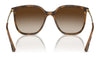 Vogue VO5564S Sunglasses | Size 54 / Transparent Brown / Grey Gradient Brown (Polarized) (3P 14%) №2940T5