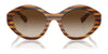 Vogue VO5576SB Sunglasses | Size 52 / Black / Dark Green (3N 12.9%) №W44/71