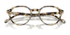 Vogue VO5598 Eyeglasses / Black №W44 / Size 48