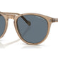 Transparent Brown