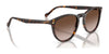 Vogue VO5599S Sunglasses | Size 53 / Transparent Brown / Blue (Polarized) (2P 20.3%) №31894Y