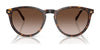 Vogue VO5599S Sunglasses | Size 53 / Transparent Brown / Blue (Polarized) (2P 20.3%) №31894Y