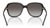 Vogue VO5601SF Sunglasses | Size 53 / Black / Grey Gradient (3N 15%) №W44/8G