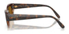 Vogue VO5616S Sunglasses | Size 51 / Total Dark Havana / Dark Brown (Polarized) (3P 13.4%) №271883