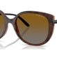 Top Dark Havana/Light Brown