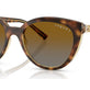 Striped Dark Havana