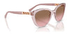 Vogue VO5634SB Sunglasses | Size 53 / Transparent Brown / Dark Brown (3N 9%) №294073