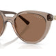 Transparent Brown