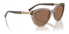 Vogue VO5634SB Sunglasses | Size 53 / Transparent Brown / Dark Brown (3N 9%) №294073