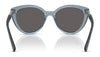 Vogue VO5634SB Sunglasses | Size 53 / Transparent Brown / Dark Brown (3N 9%) №294073