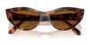 Vogue VO5637SU Sunglasses | Size 52 / Dark Havana / Dark Brown (Polarized) (3P 13.4%) №W65683