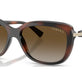 Brown Havana