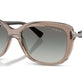 Transparent Brown