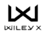 A black and white logo consisting of a stylized "X" above the bold text "DAILEY X." The "X" is formed by two intersecting lines with pointed ends, creating a sharp, symmetrical design.