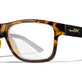 Gloss Tortoise