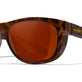 Tortoise Brown