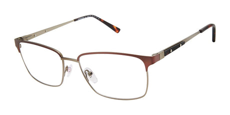 XXL Eyewear Avenger Eyeglasses Brown