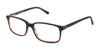 XXL Eyewear BEARCAT Eyeglasses | Size 58 / Black Demi