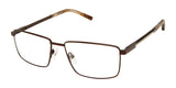 XXL Eyewear Heron Eyeglasses Brown