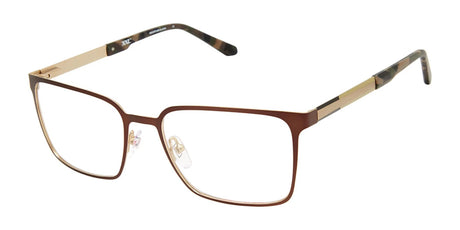 XXL Eyewear Hotspur Eyeglasses Brown