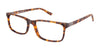 XXL Eyewear TERRAPIN Eyeglasses | Size 61 / Tortoise