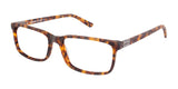 XXL Eyewear Terrapin Eyeglasses Tortoise