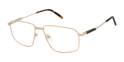 XXL Eyewear ARROW Eyeglasses Gold
