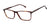 XXL Eyewear SABERCAT Eyeglasses | Size 60 / Tortoise