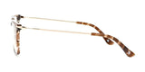 Side view of the Yeti DRIFT Eyeglasses in Size 54, showcasing gold-framed lenses and brown tortoiseshell-patterned temple tips, renowned for their unmatched durability.