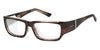 Ziena NEREUS Sunglasses | Size 55 / Dark Tortoise / Copper / Black