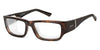 Ziena NEREUS Sunglasses | Size 55 / Dark Tortoise / Extra Dark Gray (5.8%) Waiver Required - Category 4 / Frost