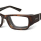 Tortoise