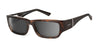 Ziena Nereus Sunglasses | Size 55 / Tortoise / Gray / Frost