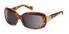 Ziena Oasis Sunglasses | Size 61 / Tortoise / Gray / Frost