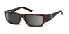 Ziena Seacrest Sunglasses | Size 54 / Tortoise / Gray / Frost
