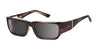 Ziena Seacrest Sunglasses | Size 54 / Veneer / Gray / Frost