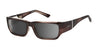 Ziena Seacrest Sunglasses | Size 54 / Veneer / Extra Dark Gray (5.8%) / Frost