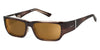 Ziena SEACREST Sunglasses | Size 54 / Veneer - No Nose Pads / Copper / Black